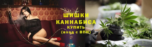 PSILOCYBIN Белокуриха