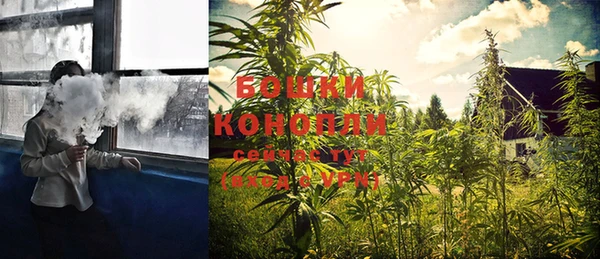 PSILOCYBIN Белокуриха
