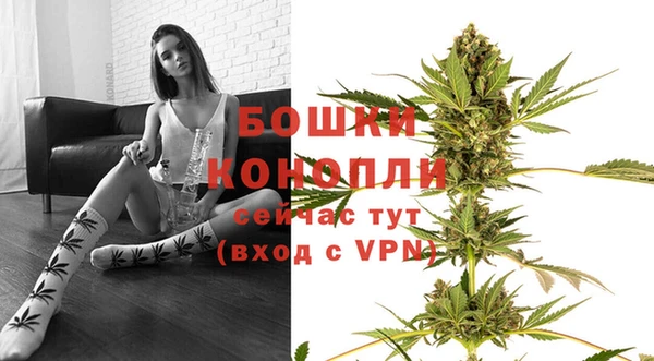 PSILOCYBIN Белокуриха