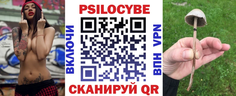 Псилоцибиновые грибы Psilocybe  Купить закладки  Ардон 